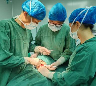 微信图片_20240726171311 微信图片_20240726171311